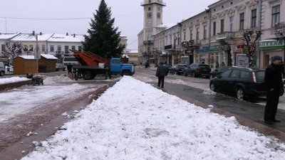 У центрі Коломиї на Франківщині зрубали дві блакитні ялинки: як відреагували містяни