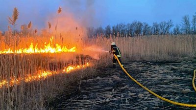 На Франківщині за одну добу зафіксували 84 пожежі сухої трави