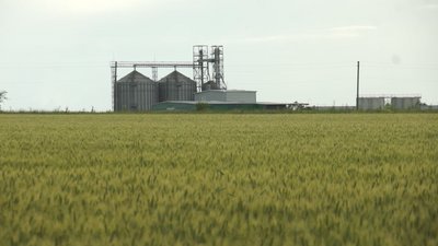 Земля на продаж: чого чекати та як продаватиметься на Донеччині