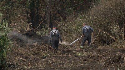На Полтавщині рятувальники третю добу гасять пожежу торфовища На Полтавщині рятувальники третю добу гасять пожежу торфовища