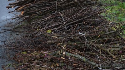 У Хмельницькому збирають гілки із приватних садиб