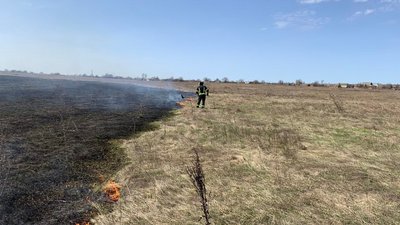 Упродовж доби у всіх районах Сумської області горіла суха трава Упродовж доби у всіх районах Сумської області горіла суха трава