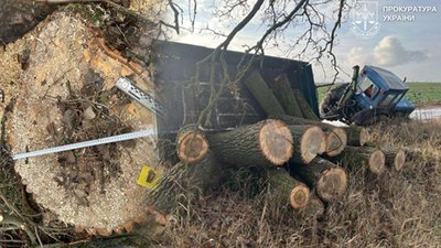 Зрубав дерев на 240 тисяч гривень: оголосили про підозру у незаконній рубці