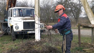 На Волині облаштовують лелечі гнізда на електроопорах