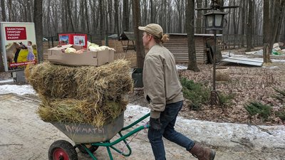 Волонтери з Охтирки допомагають рятувати тварин з харківського "Фельдман Екопарку" Волонтери з Охтирки допомагають рятувати тварин з харківського "Фельдман Екопарку"