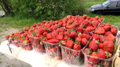 Ціна полуниці на Житньому ринку: чи продають там ягоди вирощені на Житомирщині Ціна полуниці на Житньому ринку: чи продають там ягоди вирощені на Житомирщині