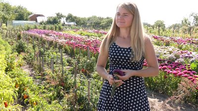 Уляна вирощує не тільки айстри, але й помідори та перець