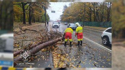 Повалені дерева, пошкоджені дахи, паркани та нема електроенергії: наслідки негоди на Чернігівщині Повалені дерева, пошкоджені дахи, паркани та нема електроенергії: наслідки негоди на Чернігівщині