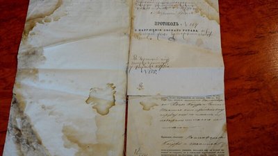 У Києві облаштують Музей лісу У Києві облаштують Музей лісу