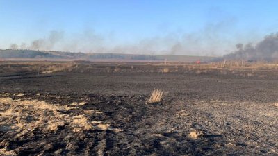 Підпалив очерет: на Волині затримали палія, через якого згоріли 100 га
