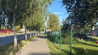 Алея дерев у Хмельницькому, вересень 2026 року