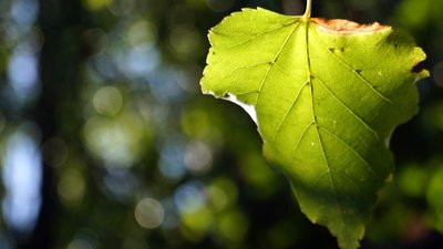 Штормове попередження, дощ та похолодання. Якою буде погода на Дніпропетровщині