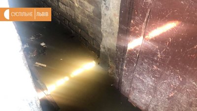 Повалені дерева та знеструмлені населені пункти: наслідки негоди на Львівщині Повалені дерева та знеструмлені населені пункти: наслідки негоди на Львівщині