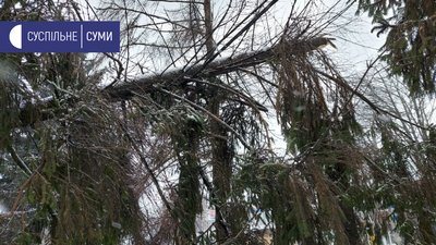 Наслідки дії шквального вітру в Сумах (ФОТОРЕПОРТАЖ)