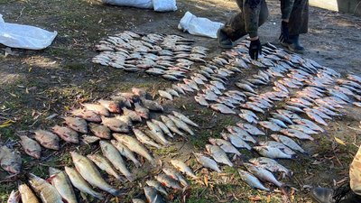 На Черкащині затримали чоловіків, які незаконно ловили рибу