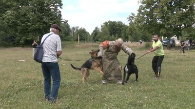 На Черкащині поновила роботу соціальна зоошкола для собак