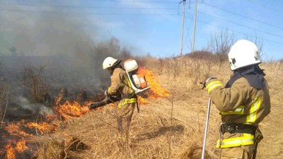За минулу добу в екосистемах Тернопільщини трапилося 20 пожеж За минулу добу в екосистемах Тернопільщини трапилося 20 пожеж