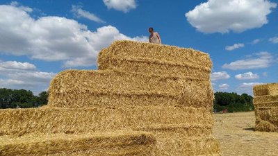На Харківщині зводять концертну залу з сіна На Харківщині зводять концертну залу з сіна