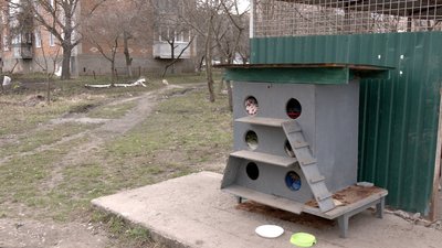 На Вінниччині зооволонтери облаштували пункт тимчасової перетримки безпритульних тварин На Вінниччині зооволонтери облаштували пункт тимчасової перетримки безпритульних тварин