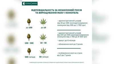 На Франківщині стартувала операція "Мак-2021" На Франківщині стартувала операція "Мак-2021"