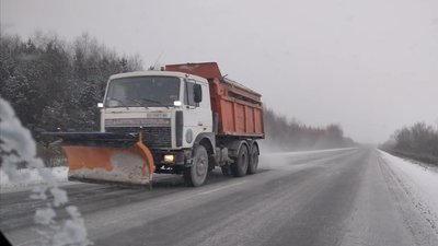Негода на Житомирщині: снігом накрило пів області Негода на Житомирщині: снігом накрило пів області