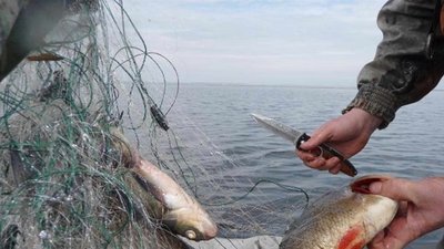 У лютому на Запоріжжі рибоохоронний патруль зафіксував 190 правопорушень