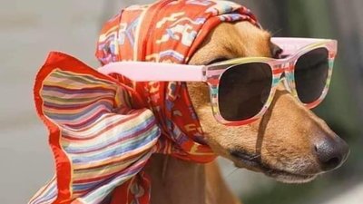 Потепління після короткочасних дощів — синоптик розповів, коли на Черкащині зміниться погода