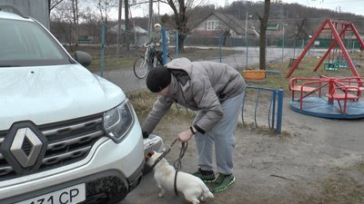 У Полтаві через виявлений випадок сказу почали вакцинувати тварин: де працюють пункти щеплення У Полтаві через виявлений випадок сказу почали вакцинувати тварин: де працюють пункти щеплення