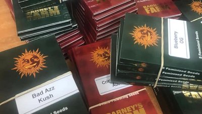 Через "Ягодин" намагалися провезти 115 упаковок насіння конопель