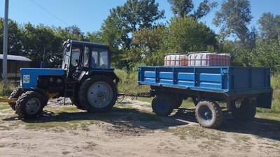Бішофіт проти амброзії