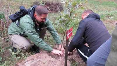 На Алеї Героїв у нацпарку «Цуманська пуща» на Волині висадили 25 дубів На Алеї Героїв у нацпарку «Цуманська пуща» на Волині висадили 25 дубів