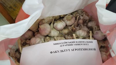 Раз на місяць миколаївські волонтери відправляють гуманітарну допомогу військовослужбовцям Раз на місяць миколаївські волонтери відправляють гуманітарну допомогу військовослужбовцям