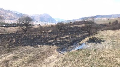 За спалювання трави двоє закарпатців заплатять штраф у понад 6 тисяч За спалювання трави двоє закарпатців заплатять штраф у понад 6 тисяч