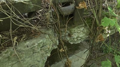 Міст через річку Малотеч