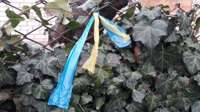 На тимчасово окупованій Херсонщині волонтери-партизани прикрасили ялинку у синьо-жовті стрічки На тимчасово окупованій Херсонщині волонтери-партизани прикрасили ялинку у синьо-жовті стрічки