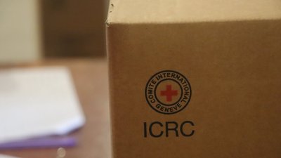 Допомога від іноземних волонтерів
