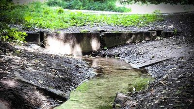 Розтрата мільйона гривень. Прокуратура вручила підозру службовцям КП "Плесо"