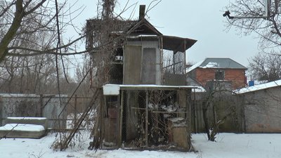 Голубівня Голубівня