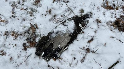 Ракетний удар по Києву. Прокуратура розпочала досудове розслідування Ракетний удар по Києву. Прокуратура розпочала досудове розслідування