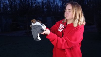 У Харкові випустили до лісу врятованих під час війни кажанів. 28 березня 2023 року. Фото: Лариса Говина/Суспільне Харків У Харкові випустили до лісу врятованих під час війни кажанів. 28 березня 2023 року. Фото: Лариса Говина/Суспільне Харків
