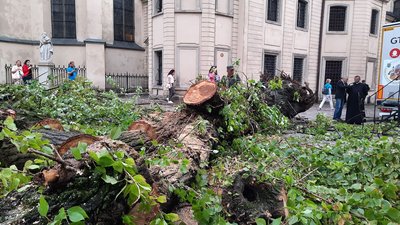 "Аварійні бригади працювали всю ніч": у Львові триває ліквідація наслідків негоди "Аварійні бригади працювали всю ніч": у Львові триває ліквідація наслідків негоди