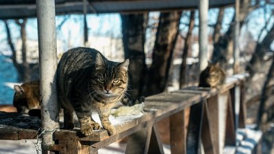 Якою буде погода в Одесі та області найближчими днями