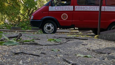 Через пориви вітру у Миколаєві впало кілька дерев та гілля Через пориви вітру у Миколаєві впало кілька дерев та гілля