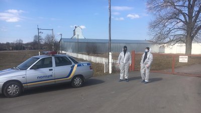 У селі на Вінниччині ввели карантинні обмеження через африканську чуму свиней