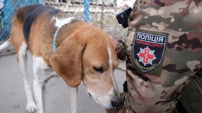 "Великий та худий — аж ребра стирчать": поліцейські вивезли пса з Красногорівки на Донеччині "Великий та худий — аж ребра стирчать": поліцейські вивезли пса з Красногорівки на Донеччині