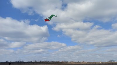 В небо над Миколаївщиною запустили семиметрові тюльпани В небо над Миколаївщиною запустили семиметрові тюльпани