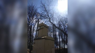 На Прикарпатті на дитину, яка поверталася зі школи, впало дерево
