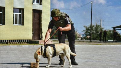 Після евакуації з Маріуполя собака продовжує нести службу у поліції Після евакуації з Маріуполя собака продовжує нести службу у поліції