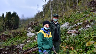 Прикарпатці долучилися до всеукраїнської акції "Мільйон дерев за добу" Прикарпатці долучилися до всеукраїнської акції "Мільйон дерев за добу"