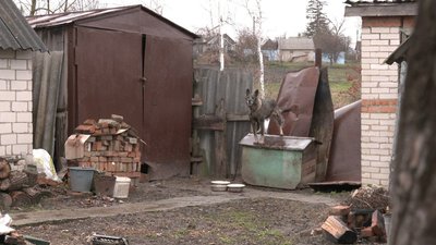 Зруйновані будинки, пожежа, порізана худоба — що залишили після себе військові РФ у с. Глибне Зруйновані будинки, пожежа, порізана худоба — що залишили після себе військові РФ у с. Глибне
